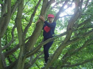 Tash climbs her first tree
