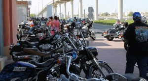 Harley Shereen Shabnam